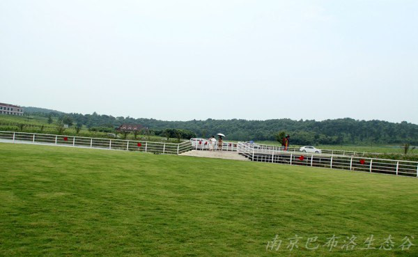 1642412387115488.jpg 8f700db1441511e3a8c89e0339253491_2020011053035645.jpg